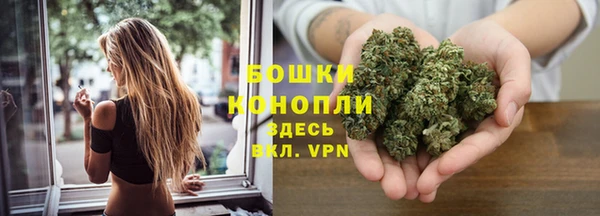 дживик Мегион