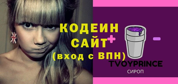 дживик Мегион