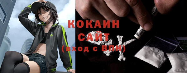 дживик Мегион
