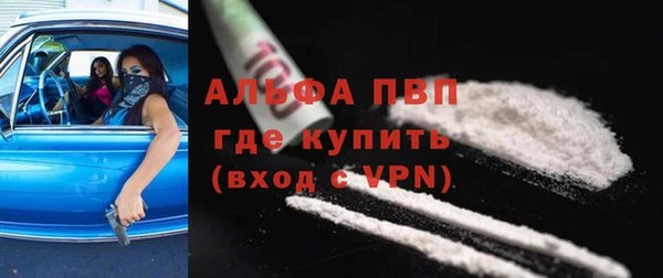 дживик Мегион