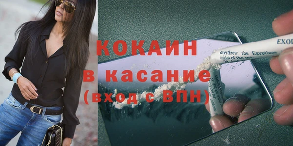дживик Мегион